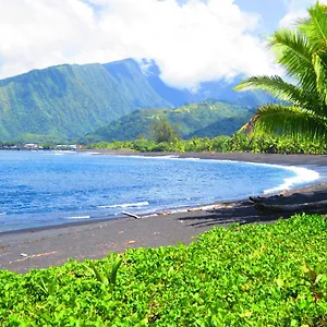 Surf Beach Paradise Tahiti